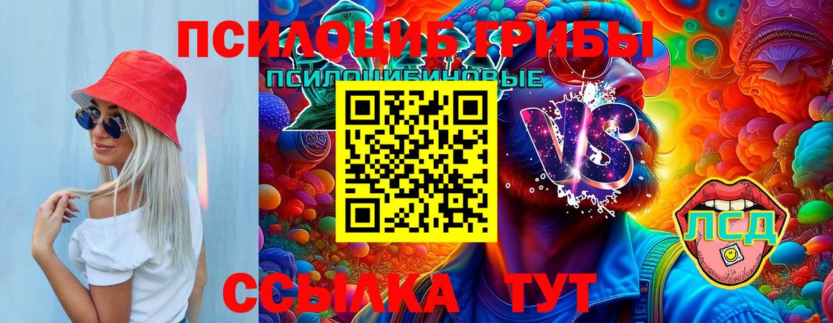 Псилоцибиновые грибы Psilocybe  Вход с VPN  Фурманов  Галлюциногенные грибы мицелий 