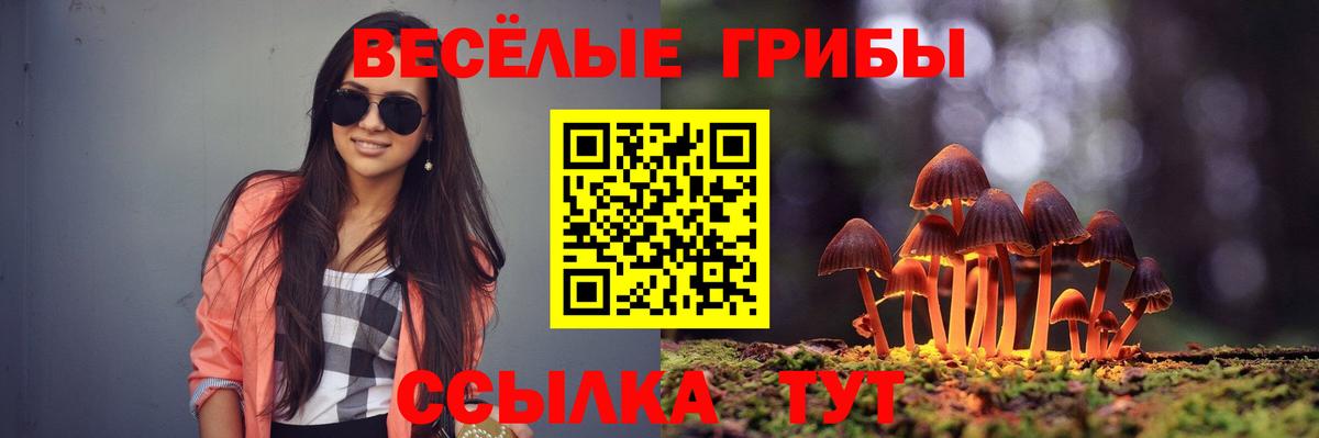 Галлюциногенные грибы GOLDEN TEACHER Фурманов